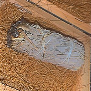 BUNDLE FOR FREE- WHITE SAGE SMUDGE STICK